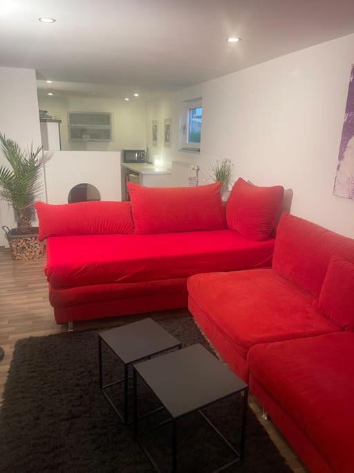 Gemuetliches Einliegerapartment, 50 Qm Trippstadt Buitenkant foto