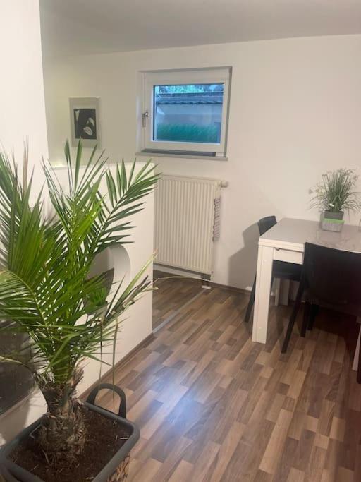 Gemuetliches Einliegerapartment, 50 Qm Trippstadt Buitenkant foto